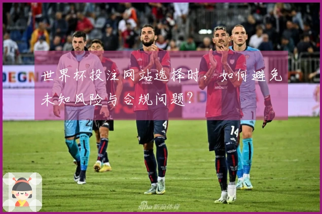 世界杯投注网站选择时，如何避免未知风险与合规问题？
