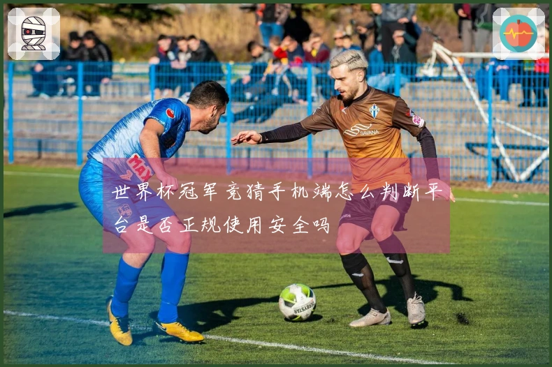 世界杯冠军竞猜手机端怎么判断平台是否正规使用安全吗