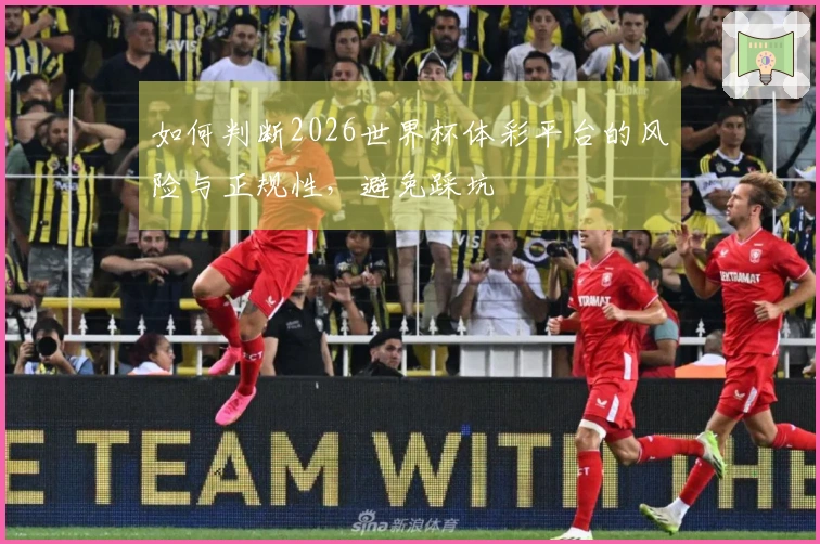 如何判断2026世界杯体彩平台的风险与正规性，避免踩坑
