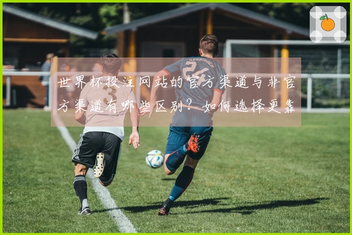 世界杯投注网站的官方渠道与非官方渠道有哪些区别？如何选择更靠谱的投注平台？