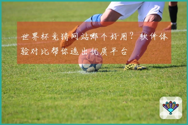 世界杯竞猜网站哪个好用？软件体验对比帮你选出优质平台