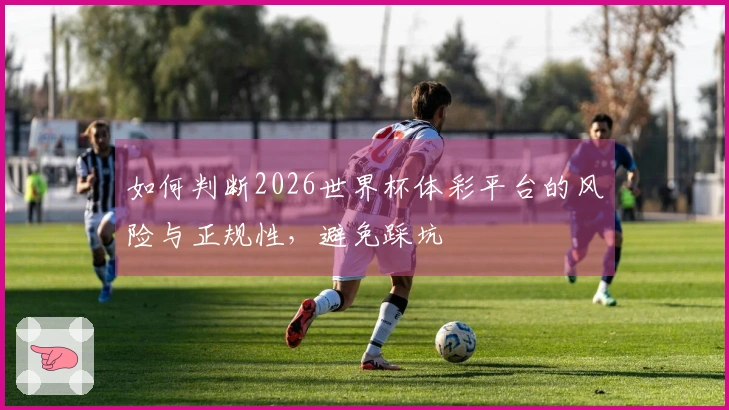 如何判断2026世界杯体彩平台的风险与正规性，避免踩坑